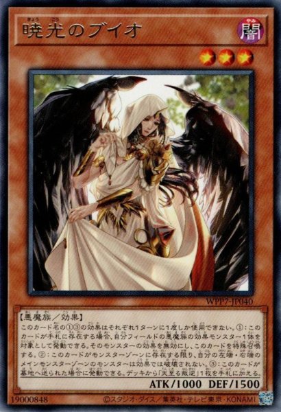 画像1: 暁光のブイオ (1)