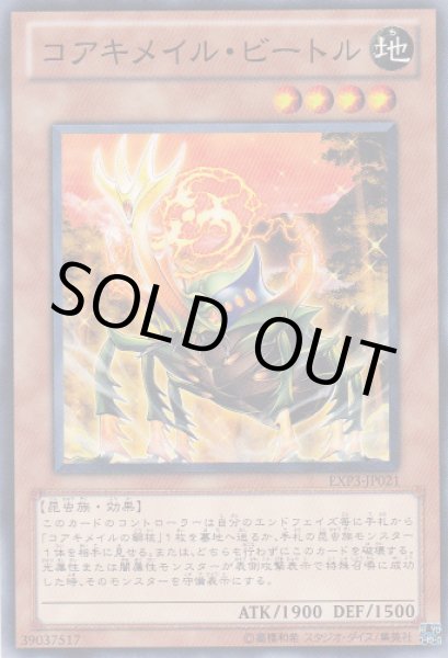 画像1: コアキメイル・ビートル (1)