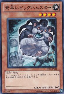 遊戯王 見つけれ デスハムスター