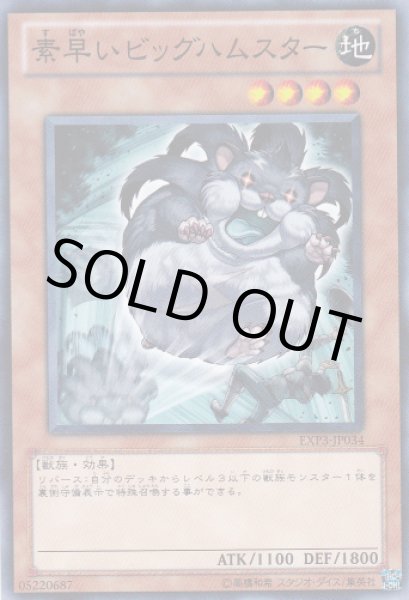 画像1: 素早いビッグハムスター (1)