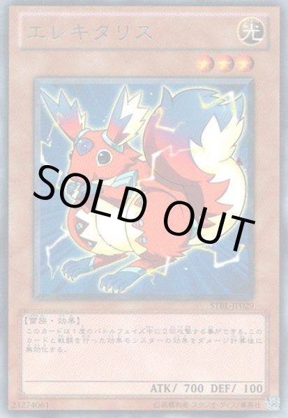 画像1: エレキタリス (1)