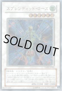 波動竜騎士 ドラゴエクィテス 遊戯王専門 通販サイト ティム中山店直営 ブルーラビット